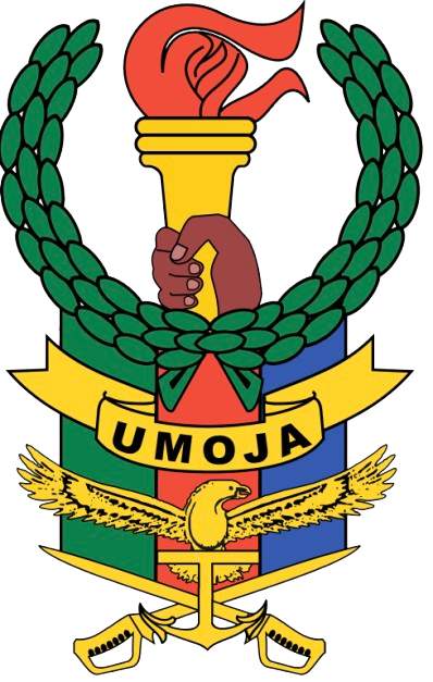 Tanzania People's Defence Force